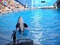 Sea World-99